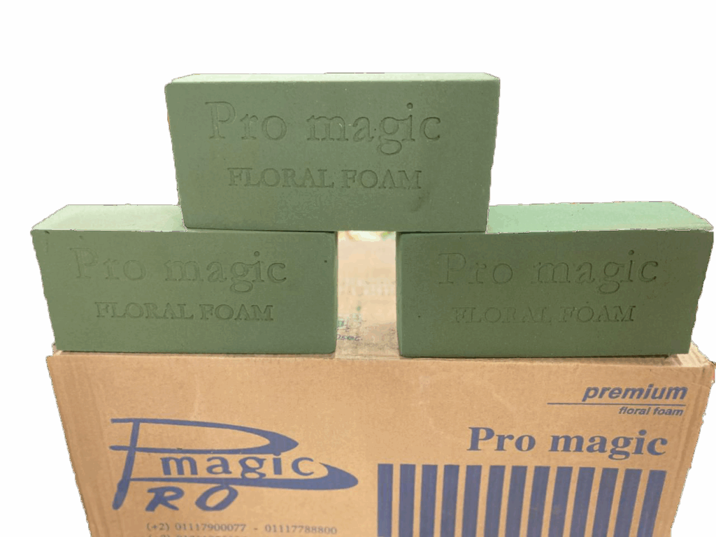 Home اويسيز اواسس Oiss aouisiz