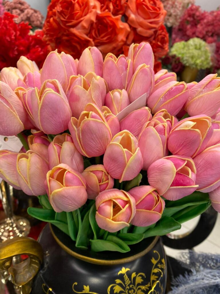 Home whatsapp image 2025 10 09 at 7.55.46 pm