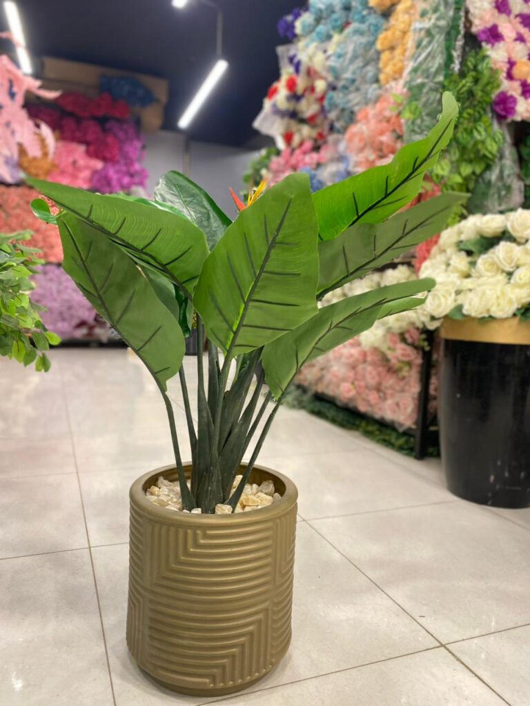 Home whatsapp image 2025 10 09 at 7.55.47 pm (1)