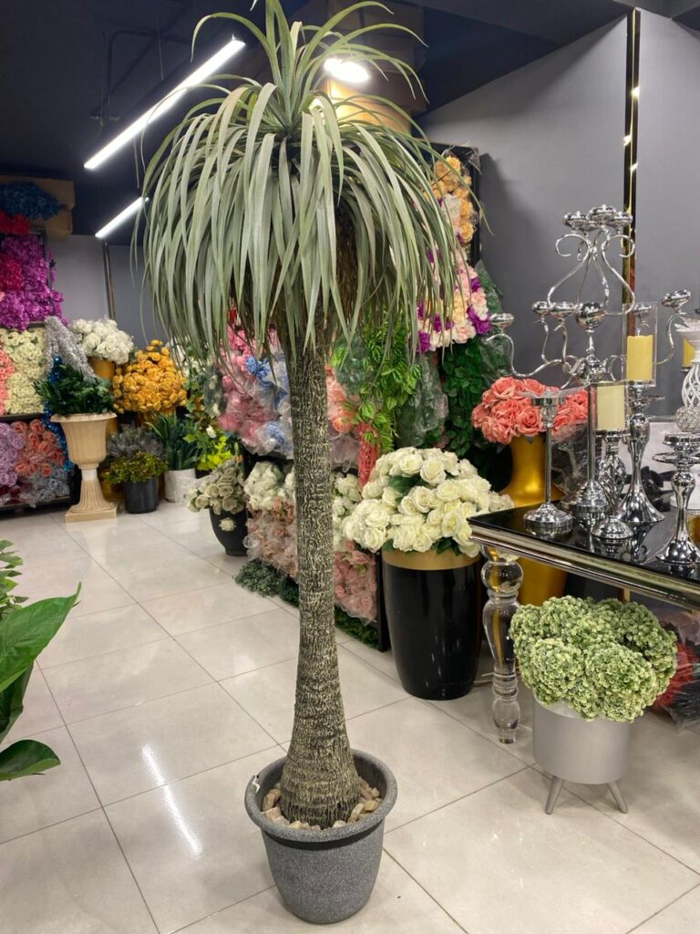 Home whatsapp image 2025 10 09 at 7.55.47 pm