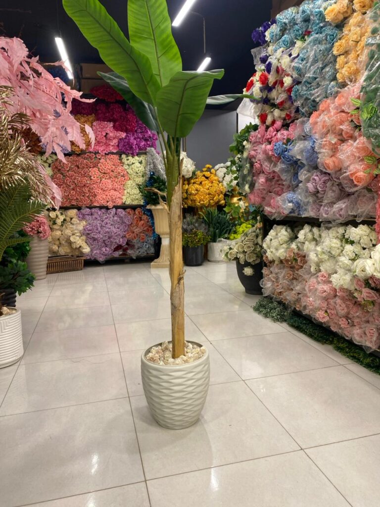 Home whatsapp image 2025 10 09 at 7.55.49 pm (1)