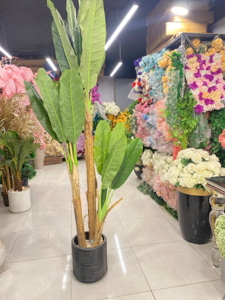 Home whatsapp image 2025 10 09 at 7.55.50 pm